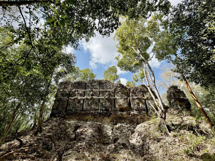 Des vestiges d'un monument maya au cœur de la forêt